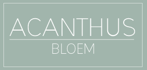acanthus_bloem